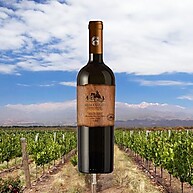 Sierra Batuco: Vinho Tinto Chileno Cabernet Sauvignon Seco 750ml - imagem 2