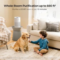 Purificador de Ar para Casa com Filtro HEPA H13 - Silencioso, Ozone-Free, Ideal para Quarto e Sala - imagem 3