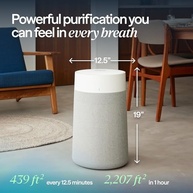 Purificador de Ar Blueair Pure Max: Ar Puro e Silencioso para sua Casa | 1858 Pés Quadrados - imagem 3