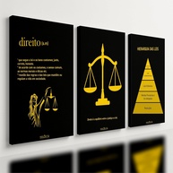 Quadro Decorativo para Escritório de Advocacia - 3 Peças em Tecido Sintético com Chassi em MDF - imagem 5