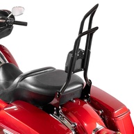 Sissy Bar Passageiro Mofun 28" Destacável para Harley Touring 2009-2025 - Preto Brilhante - imagem 1