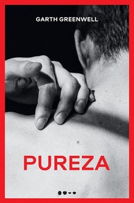Pureza: O Romance Sensual de Garth Greenwell sobre Amor e Desejo - imagem 1
