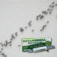 Gel Mata Formiga 10g - Solução Eficiente Contra Todos os Tipos de Formigas Caseiras - imagem 3