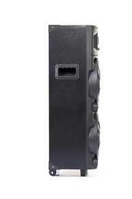 Caixa de Som Amplificada Amvox ACA 1101 Black Duplo 8: Som Potente e Conectividade Total! - imagem 4