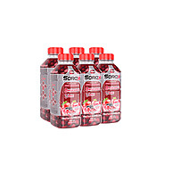 Sorox Frutas Vermelhas: Hidratação Turbinada! - imagem 1