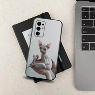 Capinha Gato Sphynx: Proteção e Estilo! - imagem 2
