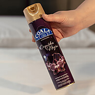 Kit Aromas Coala: Bem-Estar em Spray! - imagem 2