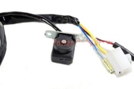 Magneto Stator 8 Bobinas GY6 50cc 80cc - Peça de Reposição para Scooters e ATVs - imagem 3