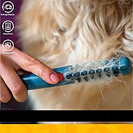 Pente Elétrico Pet: Desembarace Pelos Sem Stress! - imagem 2