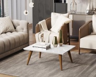 sua-palito-a-com-design-mdf-sala-moderno-e-de-para-retangular-em-funcional-mesa-centro-pes-a