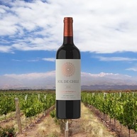 suave-de-vinho-sol-750ml-sauvignon-cabernet-chile-chileno-tinto