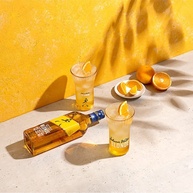 suave-mais-whisky-o-descubra-blonde-walker-johnnie