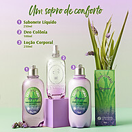 Loção Capim-Limão & Alfazema: Firmeza e Suavidade - imagem 2