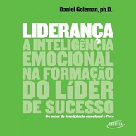 sucesso-definitivo-para-lideres-emocional-o-a-inteligencia-de-guia-lideranca-e-a