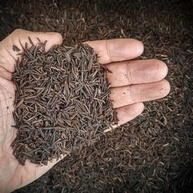 Casca Palha De Arroz Carbonizada Para Plantas Suculentas 5l - imagem 4