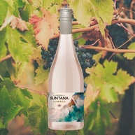 Vinho Chileno Suntana Summer Rosé Syrah 750ml - imagem 4