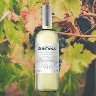 suntana-varietal-chileno-vinho-blanc-375ml-branco-sauvignon
