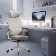 Cadeira Ergonômica de Escritório com Malha Respirável e Suporte Lombar - Cinza - imagem 1