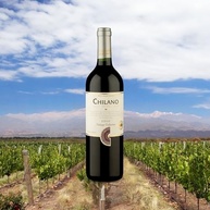 Chilano Vinho Chileno Tinto Syrah 750Ml - imagem 4