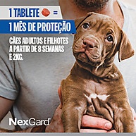 Nexgard Antipulgas e Carrapatos para Cães 25,1 a 50kg: 3 Tabletes - imagem 2