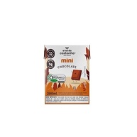 Bebida à Base de Castanha-de-Caju Orgânica Chocolate A Tal da Castanha Mini Caixa 200ml - imagem 1