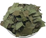 Eucalipto Glóbulus 500Gr (Ervas e Talos) - imagem 1
