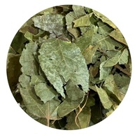 Mutamba Folha 500Gr (Ervas e Talos) - imagem 1