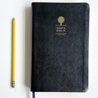 tamanho-preta-valera-letra-a-em-simil-biblia-manual-pele-reina-grande-1960-a