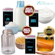 Scoby Kombucha + Kefir De Leite Ganhe Kefir De Água + Iogurte + Vidro 500ml Com Tampa - imagem 2