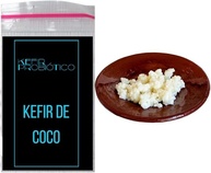 Kit Kefir de Leite de Coco Vivo + Frasco 500ml e Tampa Voal Reutilizável - imagem 1
