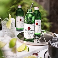 Gin & Tonic Premix, Tanqueray, 275ml - imagem 4