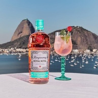 tanqueray-bossa-nova-gin-700ml