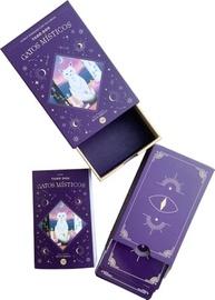 taro-misticos-a-sabedoria-gatos-dos-uma-para-felina-autentica-vida-a