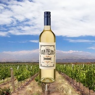 San Telmo Vinho Argentino Branco Chardonnay 750Ml - imagem 3