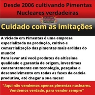 Temperos Do Mestre Fábio Tuma (sem Pimenta) - imagem 4