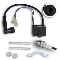 Kit Bobina de Ignição FLYPIG para Motores 49cc-80cc 2 Tempos - Potencialize Sua Moto! - imagem 2