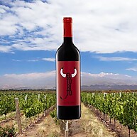 tempranillo-espanhol-750ml-torito-el-vinho