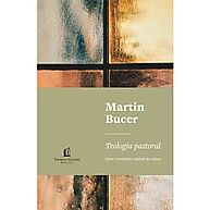 Teologia Pastoral por Martin Bucer – Cuidado de Almas com Fidelidade Bíblica - imagem 1