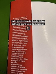 Waffen-SS: A Elite Militar Mais Temida do Terceiro Reich - imagem 5