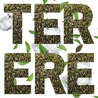 terere-premium-acucar-barao-500g-menta-mate-erva-sem-black