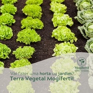 Terra Vegetal 2Kg - imagem 3