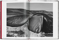 Genesis por Sebastião Salgado: Uma Carta de Amor à Terra em Fotografias Impactantes - imagem 4