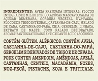 Mãe Terra Granola Tradicional Vegana com Chia, Linhaça e Gergelim, Embalagem Econômica 750g - imagem 4