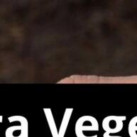 Terra Vegetal: Cultive Mais com 1, 3 e 5kg! - imagem 1