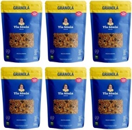 Tia Sônia, Kit 6 Granola Tradicional Castanha Coco Fruta Tia Sônia - imagem 1