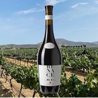 Vinho Tinto Chileno Bodegas RE Renace 750ml - imagem 3