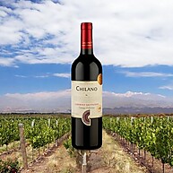 tinto-sabor-chilano-frutado-cabernet-sauvignon-750ml