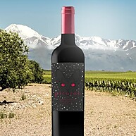 tinto-vinho-cabernet-750ml-sauvignon-premium-picaron