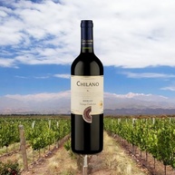 Chilano Vinho Chileno Tinto Merlot 750Ml - imagem 4