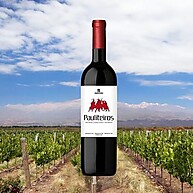 Pauliteiros Ribadouro: Vinho Tinto Português 750ml - imagem 3
